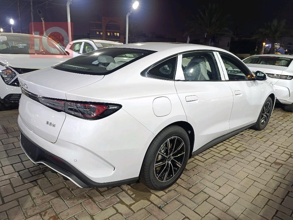 بی وای دی سيل 06 DM-i